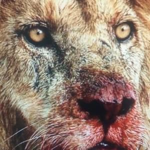 Meet your Posher, Kurt